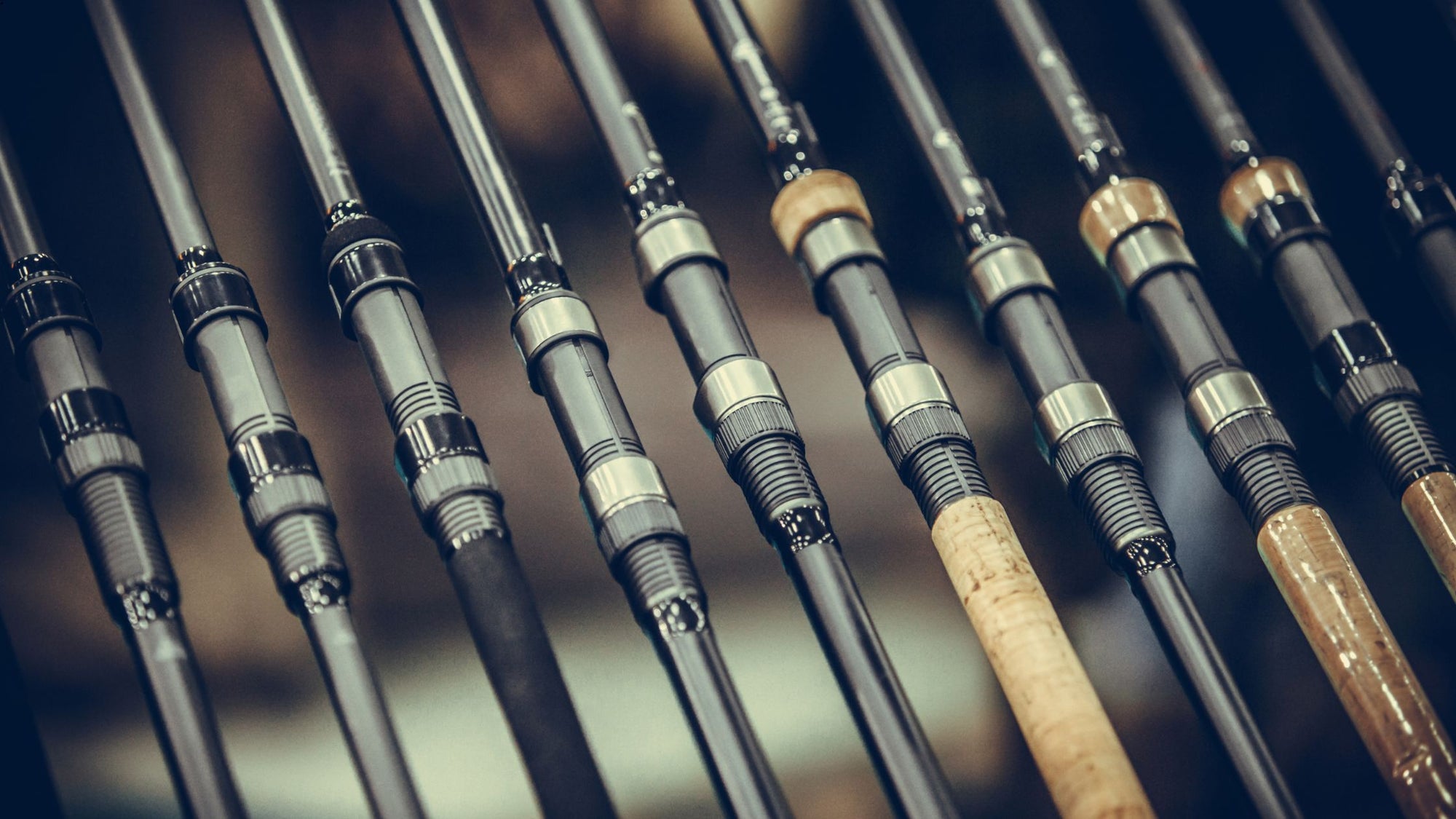 Fish Rod Types Different Types of Fishing Rods