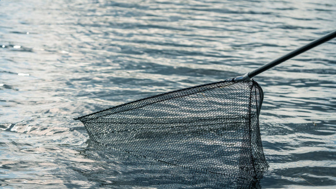 A Closer Look at Fishing Nets: The Angler's Essential Tool