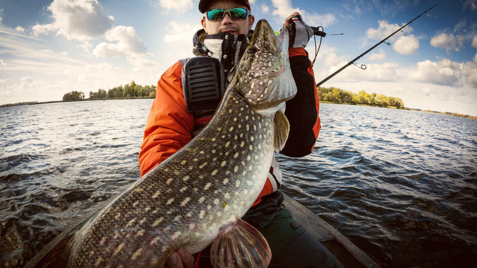 Best Pike Lure Colors: Unlocking the Right Color for Big Pike