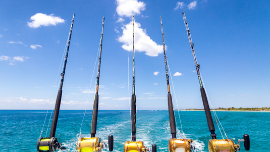 Exploring Sea Fishing Rods & what to consider before you buy one