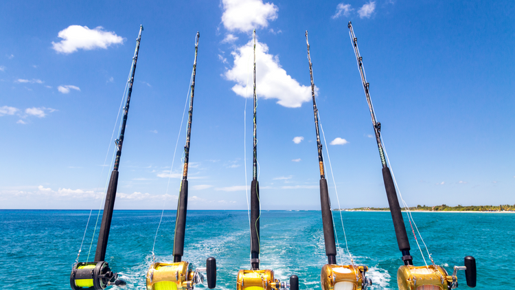 Exploring Sea Fishing Rods & what to consider before you buy one