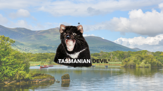 Tasmanian Devil Fishing Lures: A Game Changer for Anglers