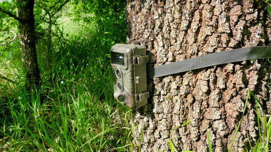 Trail Cameras Ireland