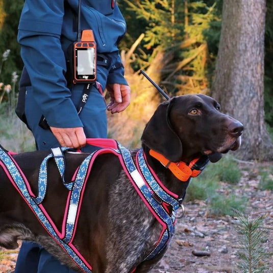 Dog Trace | GPS Collar For Another Dog | DOG GPS X40