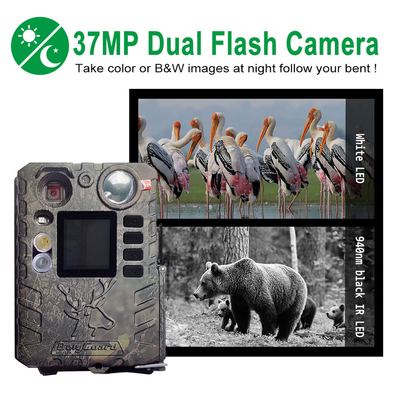 Load image into Gallery viewer, Scout Trail Camera | 37MP/4K | SD Card | Li-ion Batteries | Solar Panel incl.
