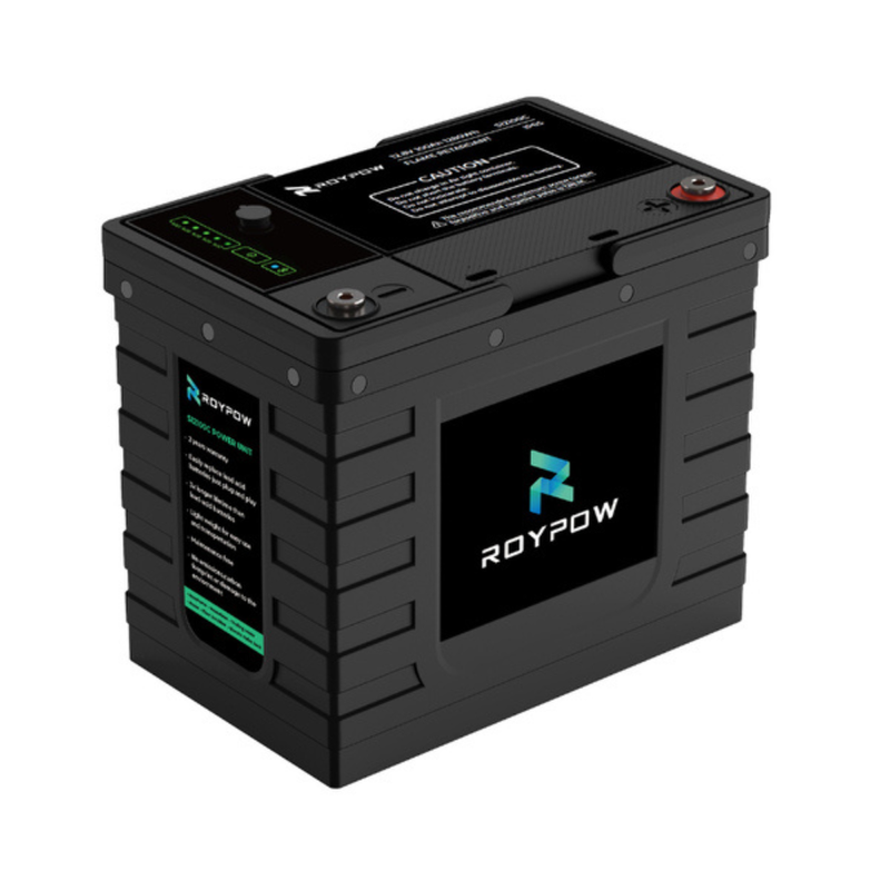 Load image into Gallery viewer, RoyPow | Battery LiFePO4 | 12.8V 100Ah 1280Wh | IP65
