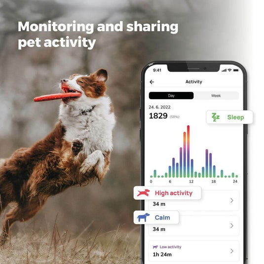Dog Trace | Dog GPS Mini Locator For Dogs