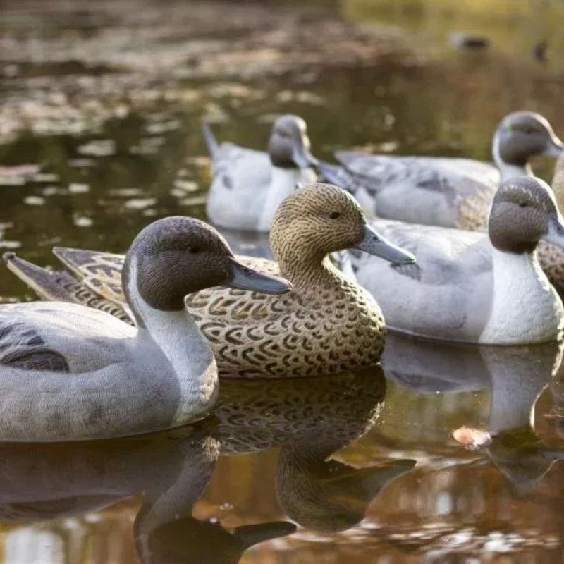 Load image into Gallery viewer, Flambeau | Classic Pintail Duck Decoys
