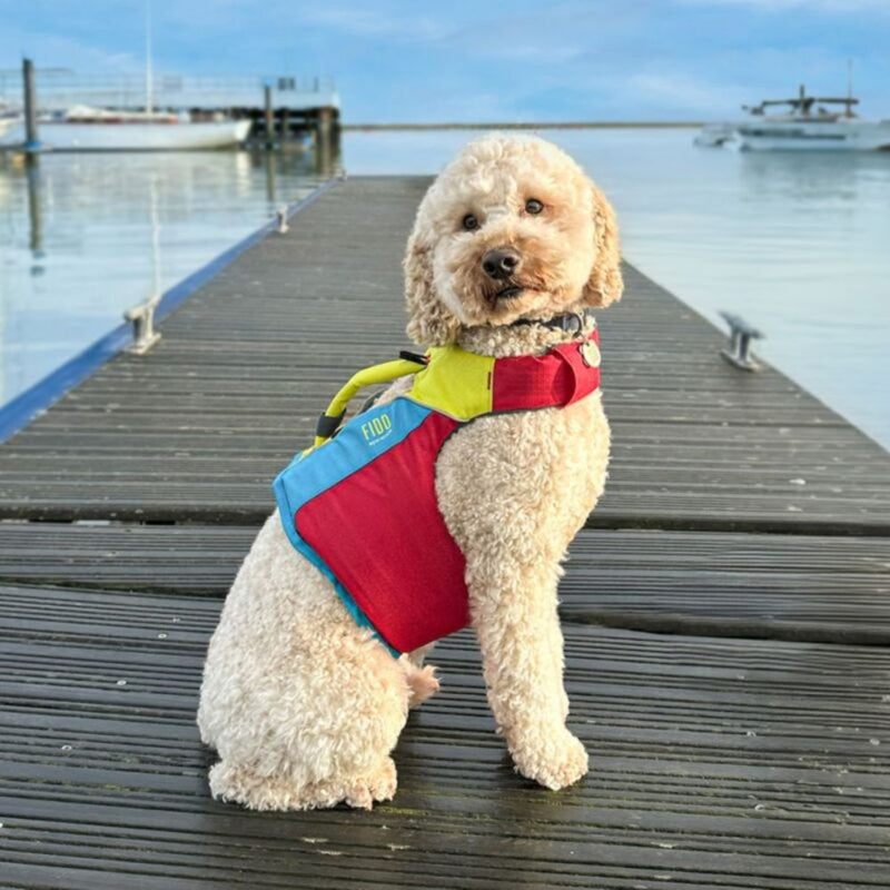 Load image into Gallery viewer, Fido | Flotation Vest For Dogs
