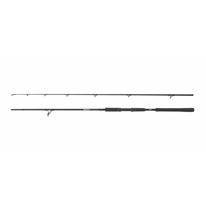 Load image into Gallery viewer, Abu Garcia | Beast Pike Spinning Rod | XXH | 2,59m | 40-140g - 
