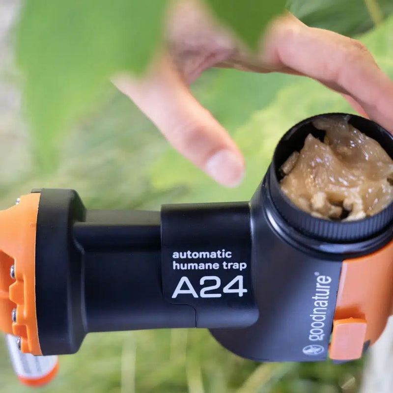 Load image into Gallery viewer, Goodnature | A24 Rat &amp; Mouse Starter Kit - Traps
