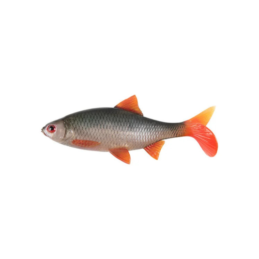 Fox Rage | Ultra Natural Roach |