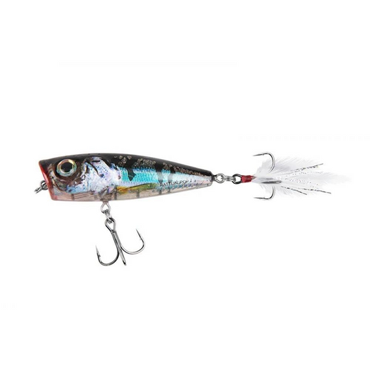 Salmo | Rattlin Pop Lure | 7cm | Floating