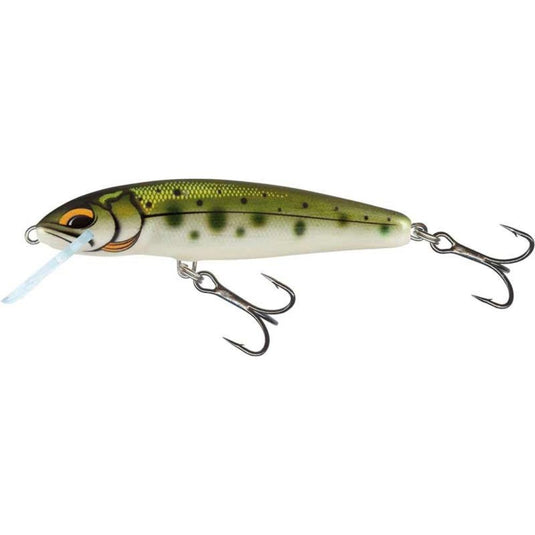 Salmo | Minnow | Floating | 7cm | 6g
