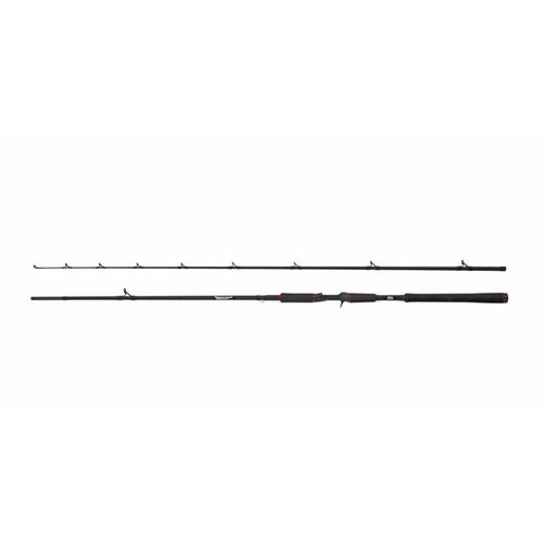 Abu Garcia | Beast Pike Fishing Casting Rod