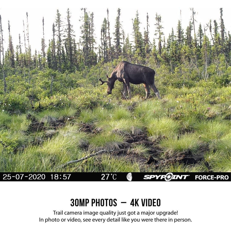 Load image into Gallery viewer, SpyPoint Force-Pro Trail Camera | Camo | DISCOUNTED AS BOX DAMAGED
