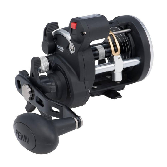 Penn | Rival Level Wind 20LC | Right Hand
