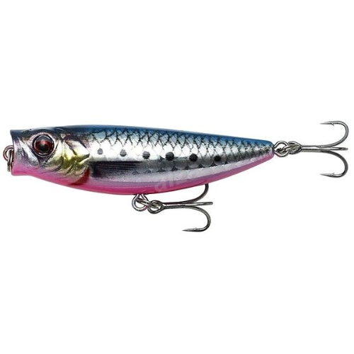 Wildhunter.ie - Savage Gear | 3D Minnow Pop Walker | 5.5cm | 6g -  Sea Fishing Lures 