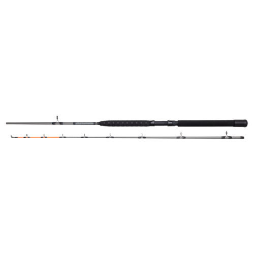 Wildhunter.ie - DAM | Salmonizer Trolling Rod | 2sec -  Trolling Rods 