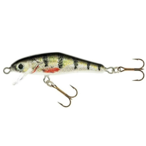 Load image into Gallery viewer, Wildhunter.ie - Jaxon | Holo Select Floating Wobbler | 6cm | 3.5g -  Wobbler Lures 
