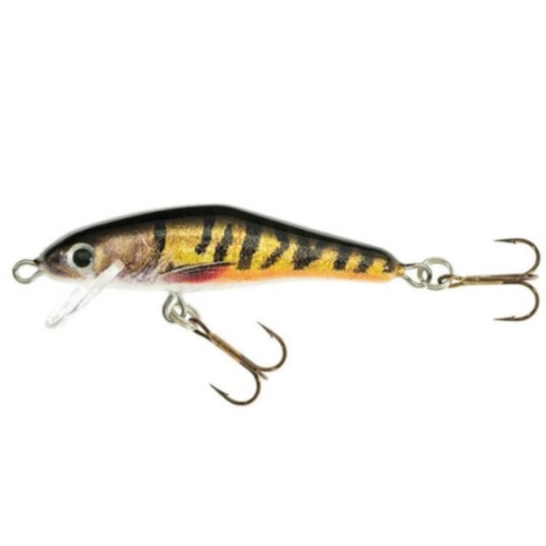 Load image into Gallery viewer, Wildhunter.ie - Jaxon | Holo Select Floating Wobbler | 6cm | 3.5g -  Wobbler Lures 
