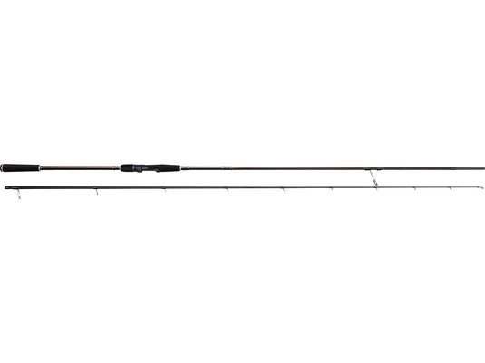 W2 Sbass 1