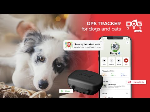 Load and play video in Gallery viewer, Dog Trace | Dog GPS Mini Locator For Dogs
