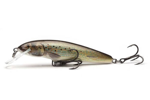 Load image into Gallery viewer, Wildhunter.ie - Salmo| Minnow Floating | 8g | 7cm -  Predator Lures 
