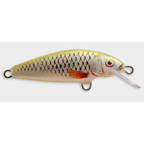 Wildhunter.ie - Dorado | Classic Sinking Lure | 7cm -  Predator Lures 