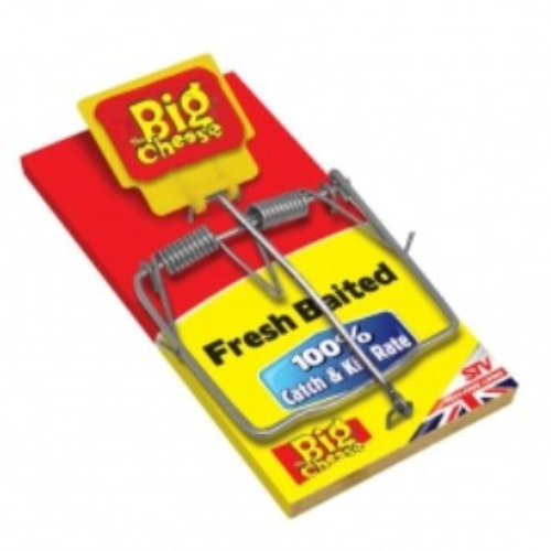 Wildhunter.ie - The Big Cheese | Traditional Rat Trap -  Traps 