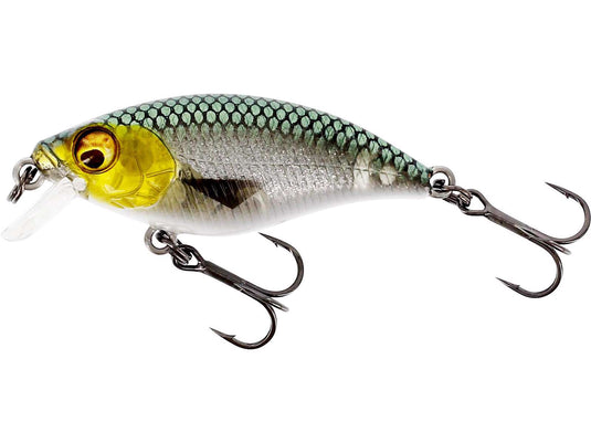 Wildhunter.ie - Westin | Buzzbite SR Crankbait | Low Floating | 6g | 5cm -  Predator Lures 