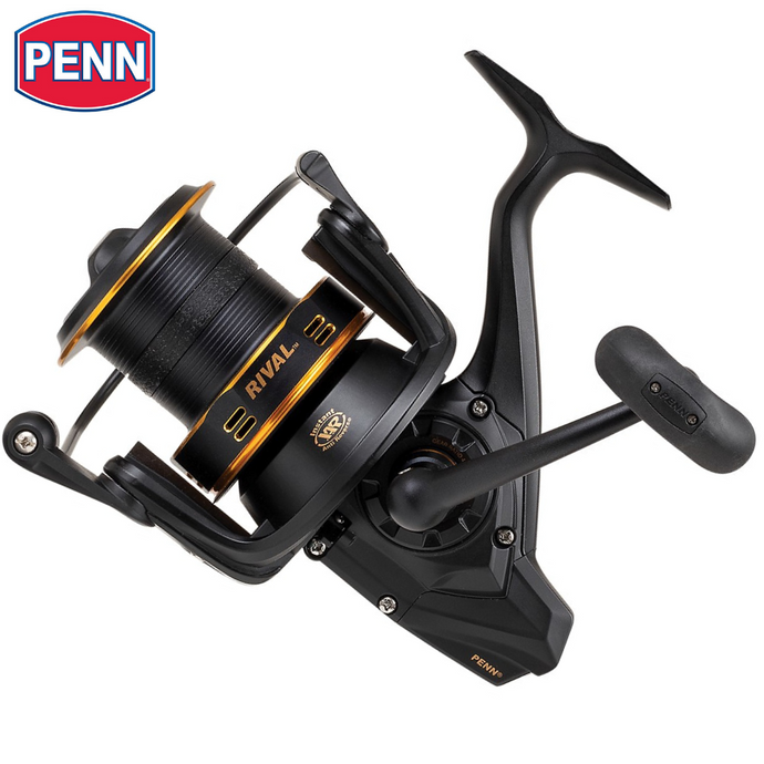 Wildhunter.ie - Penn | All-Round Longcast Spinning Reel Gold -  Predator Fishing Reels 