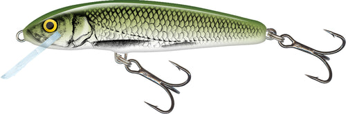 Load image into Gallery viewer, Wildhunter.ie - Salmo| Minnow Floating | 8g | 7cm -  Predator Lures 
