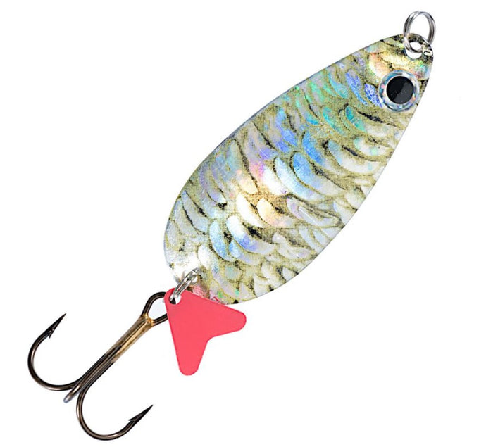Wildhunter.ie - Jaxon | Holo Karas Spoon | 24g -  Predator Spoons 