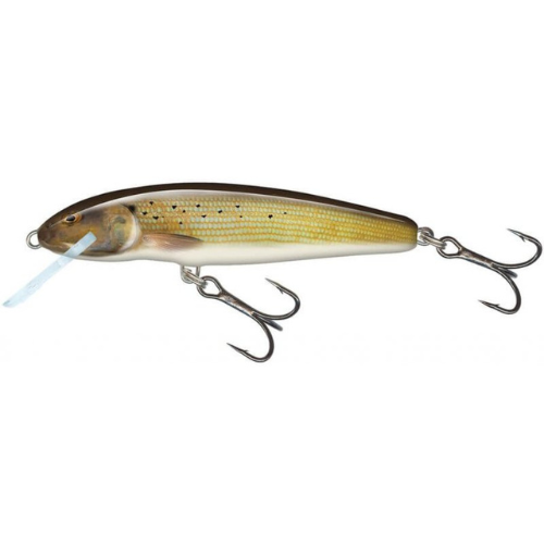 Wildhunter.ie - Salmo | Minnow | Floating | 5cm | 3g -  Wobbler Lures 