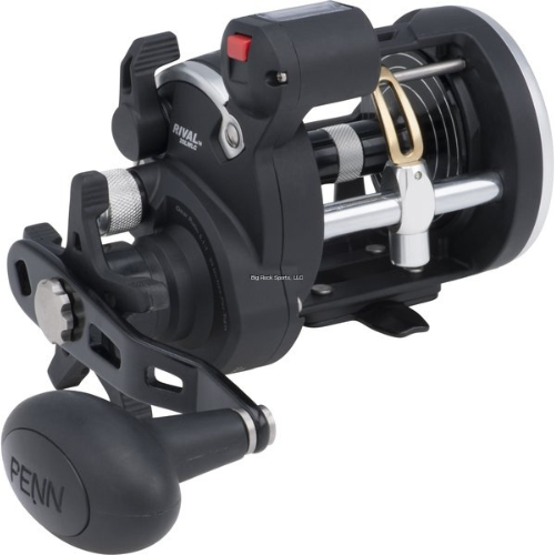 Wildhunter.ie - Penn | RIVAL Level Wind Line Counter Reel | 5.1:1 -  Sea Fishing Reels 