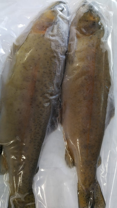Wildhunter.ie - Frozen Deadbait | Trout -  Predator Deadbaiting 