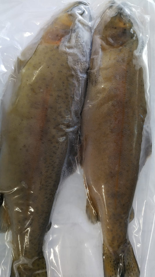 Wildhunter.ie - Frozen Deadbait | Trout -  Predator Deadbaiting 