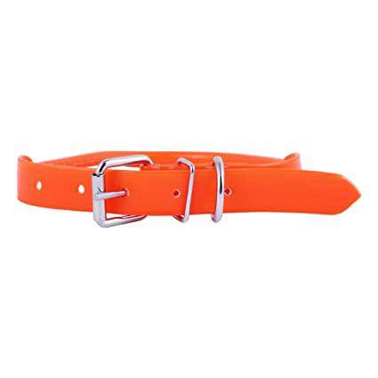 Wildhunter.ie - Bright Orange Dog Collar -  Dog Training Collars 