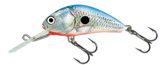 Wildhunter.ie - Salmo | Hornet Floating Lure | 6cm -  Predator Lures 