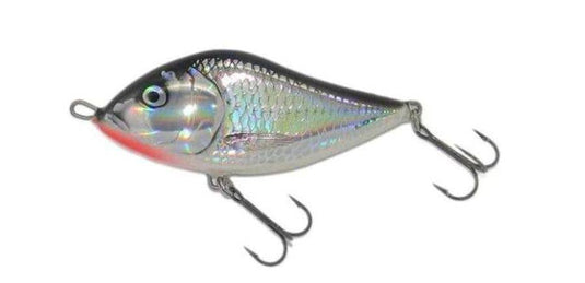 Wildhunter.ie - Salmo | Slider | Floating | 10cm | 36g -  Predator Lures 