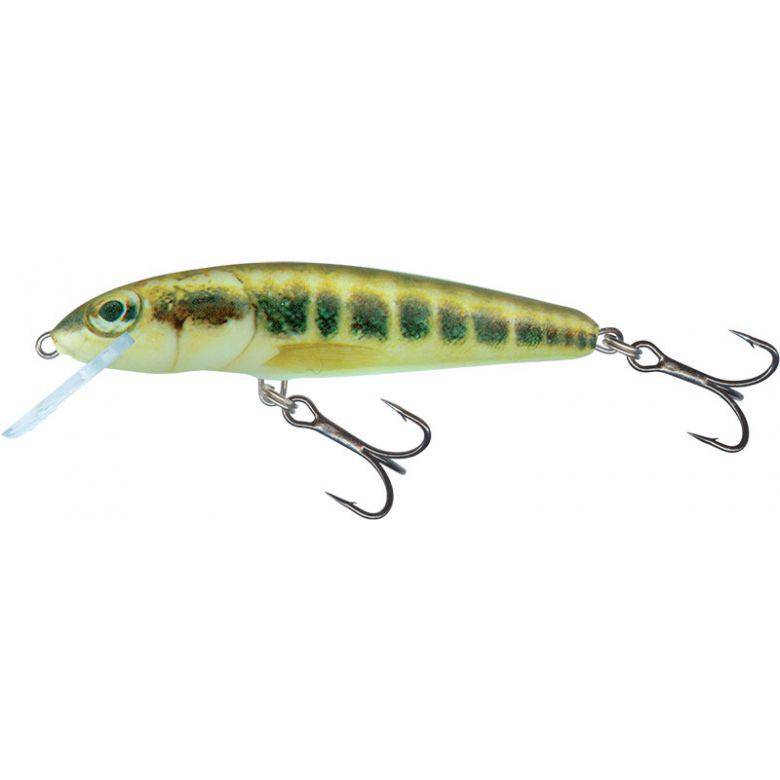 Load image into Gallery viewer, Wildhunter.ie - Salmo | Minnow | Floating | 5cm | 3g -  Trout/Salmon Lures 
