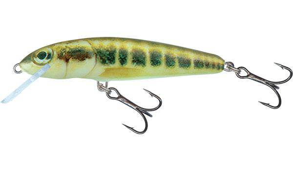 Load image into Gallery viewer, Wildhunter.ie - Salmo | Minnow | Floating | 7cm | 6g -  Trout/Salmon Lures 
