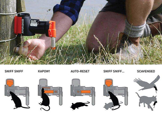 A24 Mouse & Rat Trap from Goodnature Traps UK