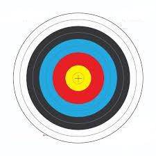 Wildhunter.ie - Archery Target | Large | 80 cm | Per Target -  Archery Accessories 