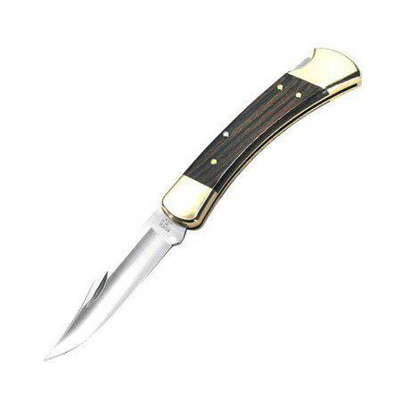 Wildhunter.ie - Buck | 110 | Spring Assisted Knife -  Knives 