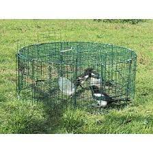 Wildhunter.ie - Larsen Trap | 5 Compartment | Magpie/Crow/ Pick Up Only In STORE -  Traps 