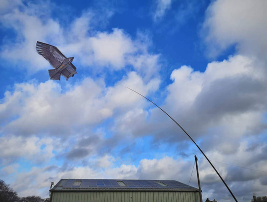 Wildhunter.ie - Defenders | Hawk Kite Bird Scarer -  Traps 