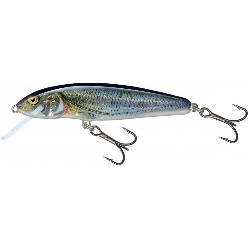 Load image into Gallery viewer, Wildhunter.ie - Salmo| Minnow Floating | 8g | 7cm -  Predator Lures 
