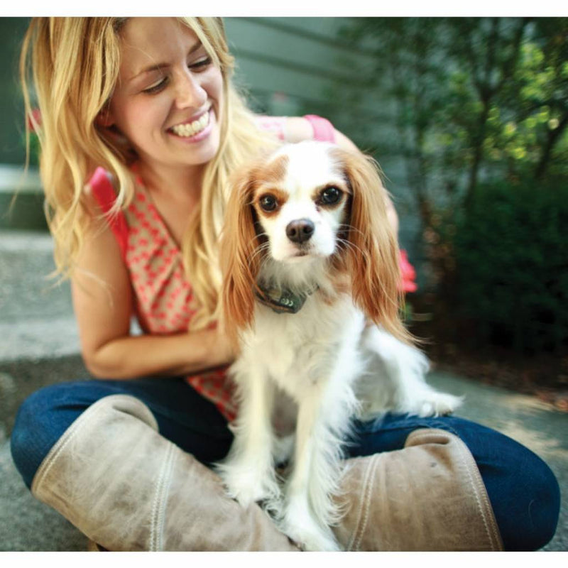 Load image into Gallery viewer, Wildhunter.ie - Petsafe Little Dog Extra Receiver Collar - PIG19-11041 - static -  Dog Training Collars 
